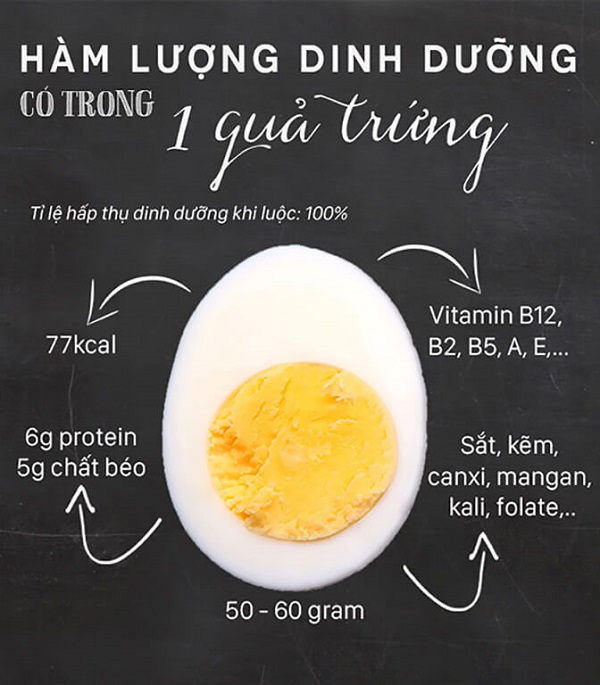 Protein có trong trứng sẽ hỗ trợ sức khỏe của nam giới